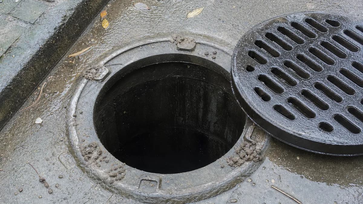 Cover image for Animals in Sewer Pipes: How They Get In and What to Do