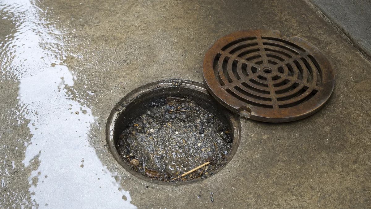 Cover image for Floor Drain Care: Preventing Odours and Blockages